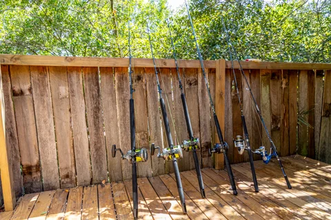 Activities & Excursions | Nahyeeni Lodge