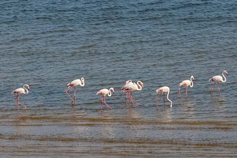 Nahyeeni Lodge, Inhaca Island, Mozambique