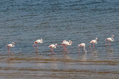 Nahyeeni Lodge, Inhaca Island, Mozambique